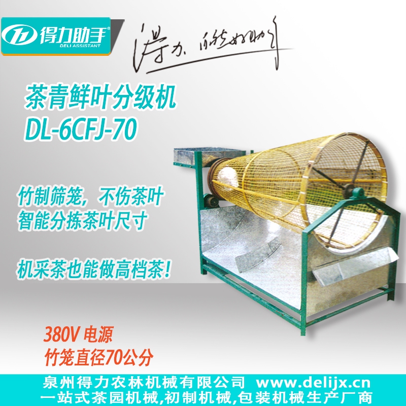 DL-6CFJ-70型茶青鮮葉分級機(jī)